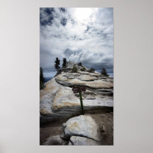 Clouds Rest - Yosemite Poster