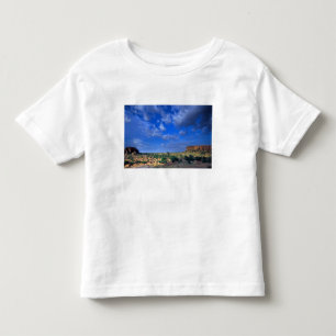 Clouds sweeping across the sky over the toddler T-Shirt