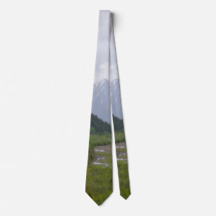 Cloudy At Denali Neck Tie