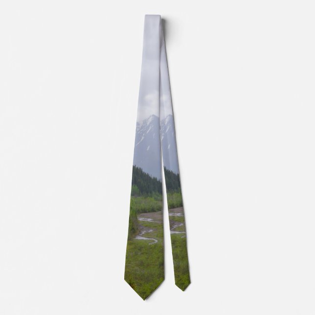 Cloudy At Denali Neck Tie (Front)