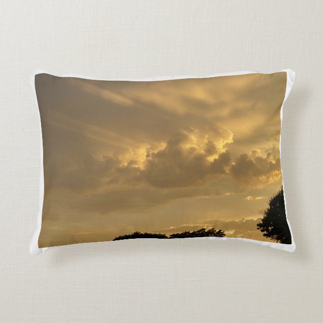 Cloudy Sky With Bird Decorative Cushion (Front)
