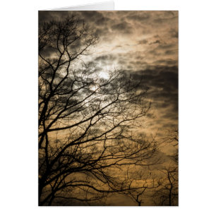 Cloudy Sun Scene