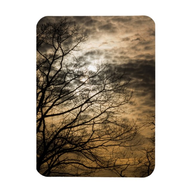 Cloudy Sun Scene Magnet (Vertical)