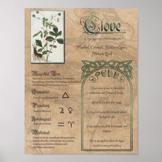 Clove Herbal Book of Shadows Pagan Wiccan Poster (Front)