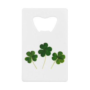 Clover 🍀