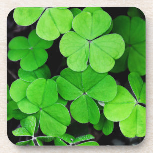 Clover Coaster