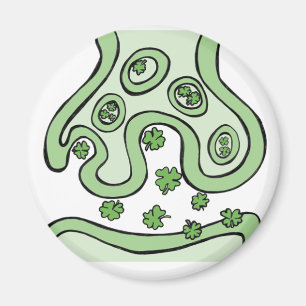 Clover Neurotransmitters Magnet