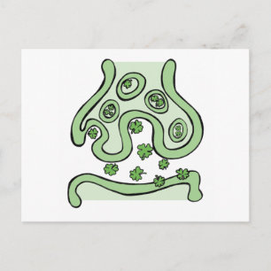 Clover Neurotransmitters Postcard