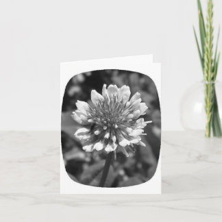Clover note card