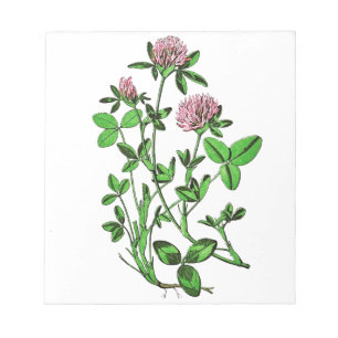 Clover Vintage Botanical Print Notepad