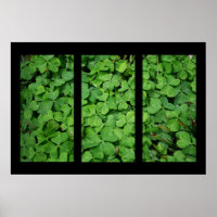 Cloverleaf Triptych