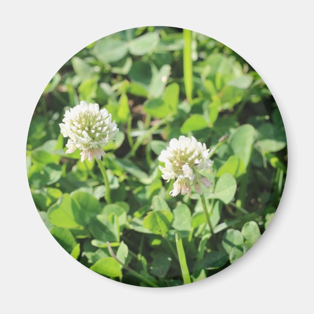 Clovers and Flowers Magnet (Front)