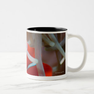 Clown anemonefish 2 Two-Tone coffee mug