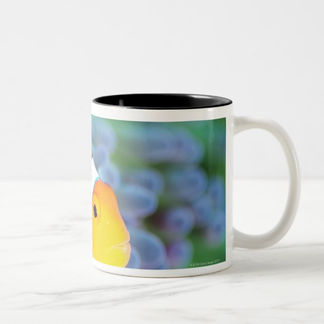 Clown anemonefish Two-Tone coffee mug (Right)