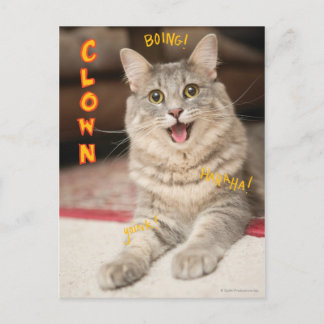 Clown Cat Postcard