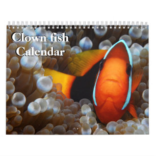 Clown Fish 2025 Calendar