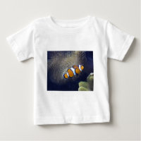 clown fish, 2