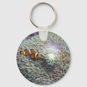 clown fish 3 key ring