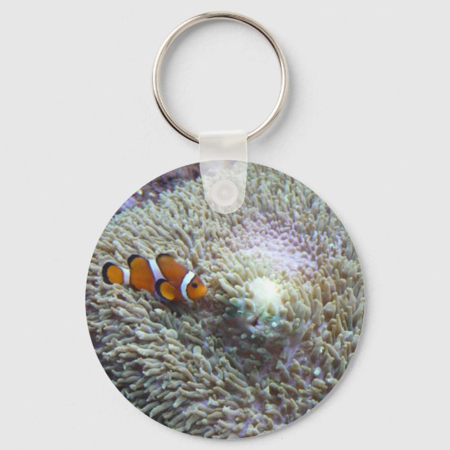 clown fish 3 key ring (Front)
