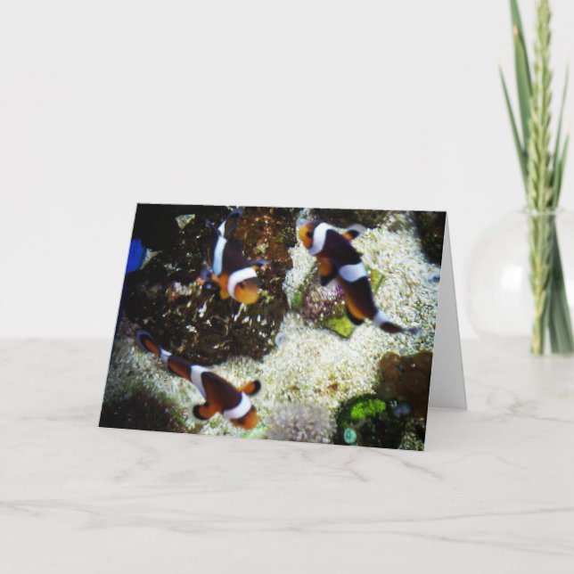 "Clown Fish" Get Well Card (Front)