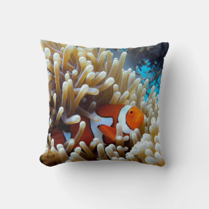Clown Fish in a Coral Reef Cushion