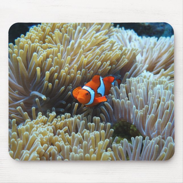 Clown Fish in a Coral Reef Mouse Pad (Front)