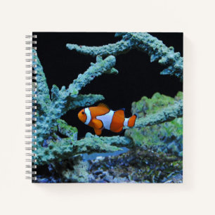 Clown Fish in Coral Notebook