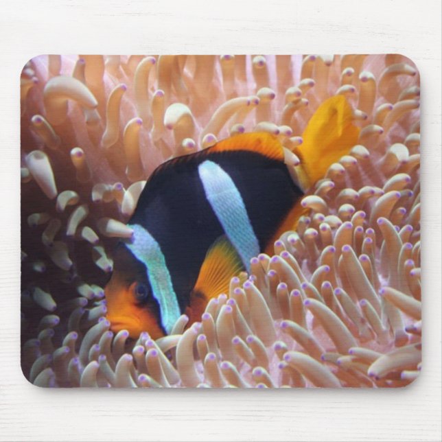 Clown Fish Mouse Pad (Front)