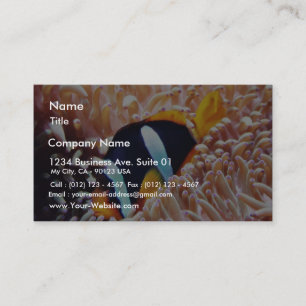 Clown Fish Tropical Fish Business Card