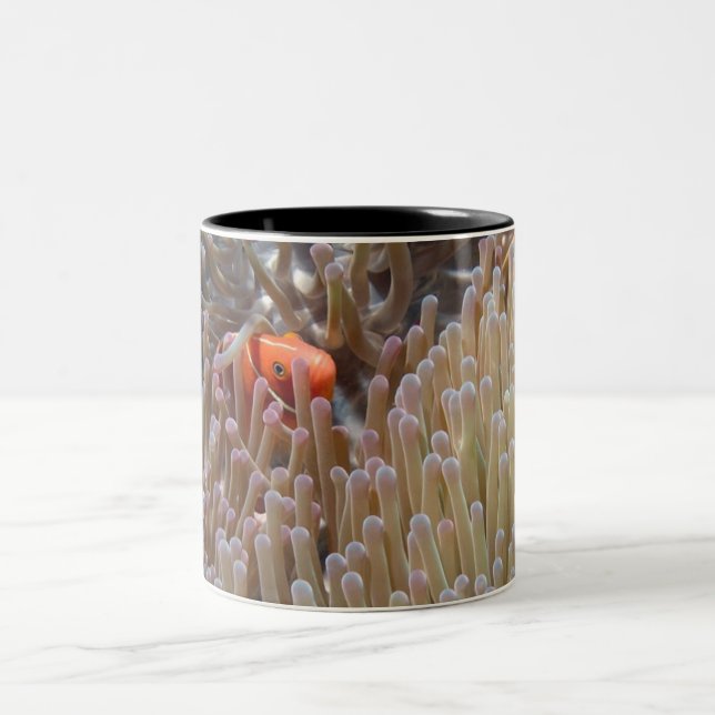 clown fish Two-Tone coffee mug (Center)