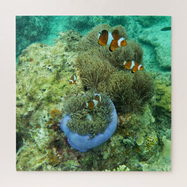 Clown Fishes Jigsaw Puzzle (Vertical)
