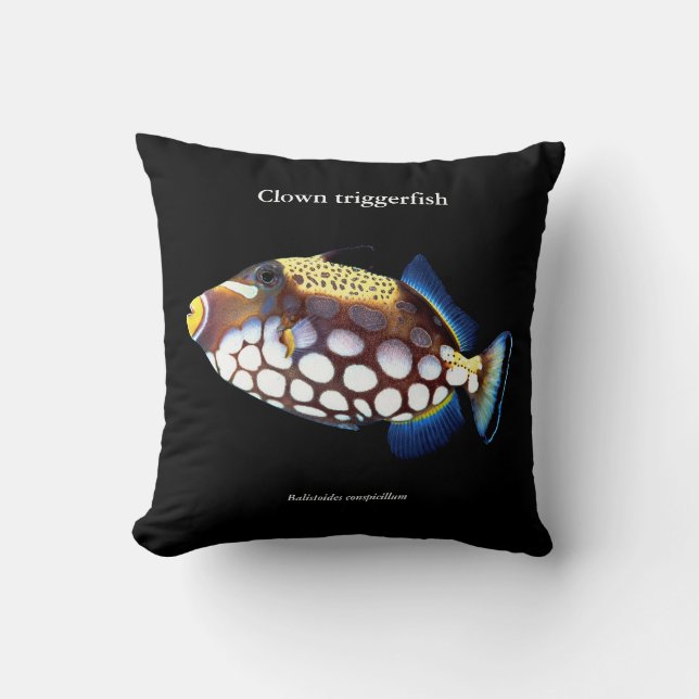 Clown triggerfish , Balistoides conspicillum Cushion (Front)