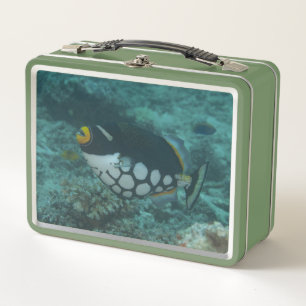 Clown Triggerfish Swims in the Bega Lagoon Fiji Metal Lunch Box