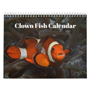 Clownfish 2026 calendar