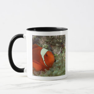 Clownfish 2 mug