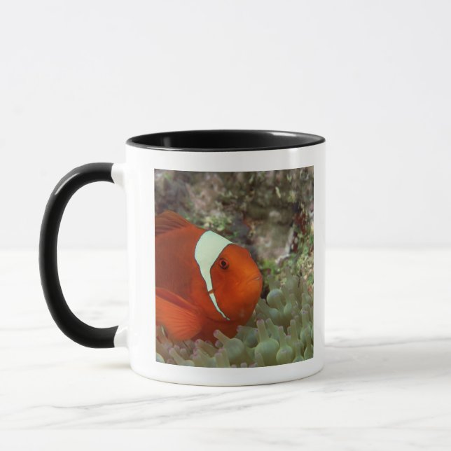 Clownfish 2 mug (Left)