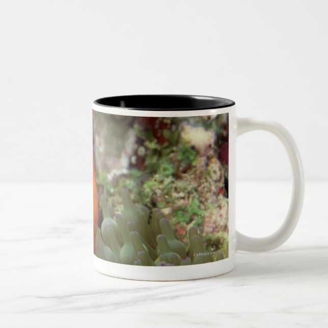 Clownfish 2 Two-Tone coffee mug (Right)