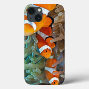 Clownfish iPhone 13 Case