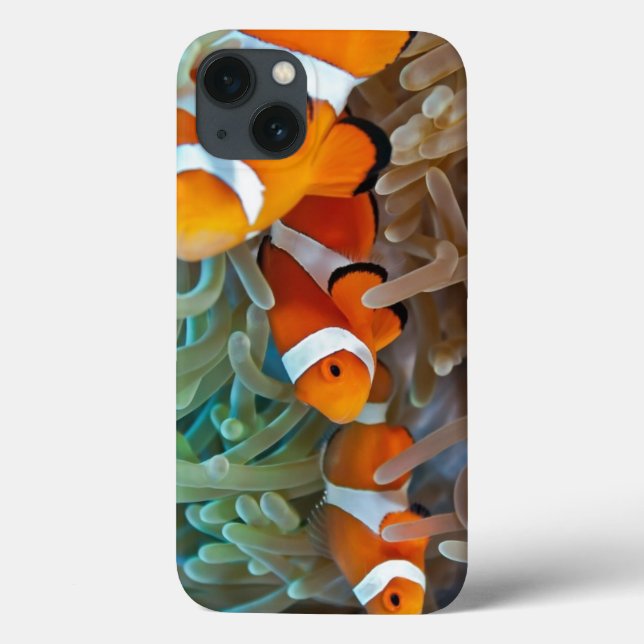 Clownfish Case-Mate iPhone Case (Back)