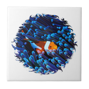 Clownfish Ceramic Tile