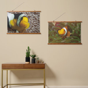 Clownfish - Close-Up! So cute - Nemo in Anemone    Hanging Tapestry
