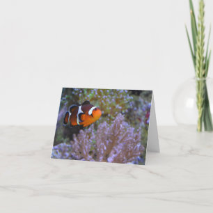 Clownfish Coral Sea Anemone Underwater Cute Photo Card