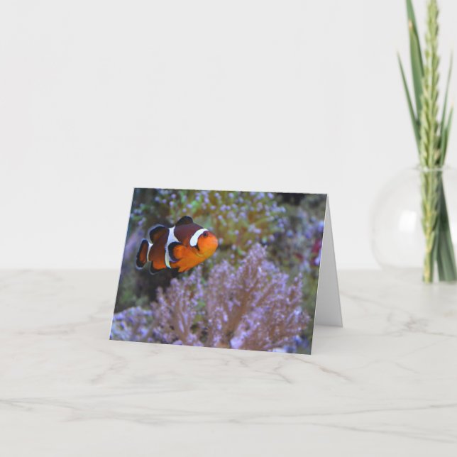 Clownfish Coral Sea Anemone Underwater Cute Photo Card (Front)