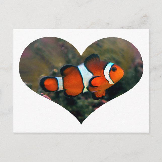 Clownfish Heart Postcard (Front)