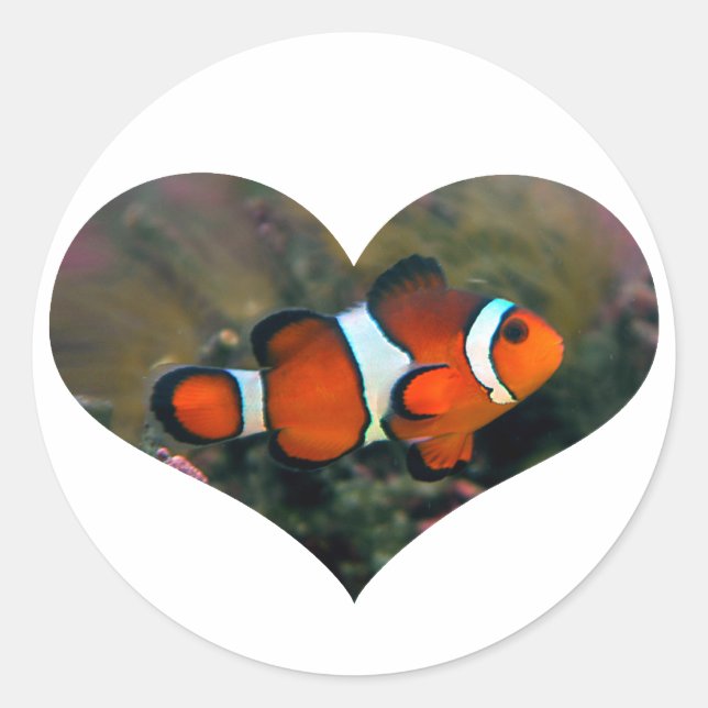 Clownfish Heart Sticker (Front)
