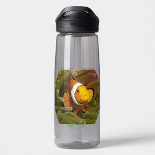 Clownfish in green anemone. Photographic Design Water Bottle