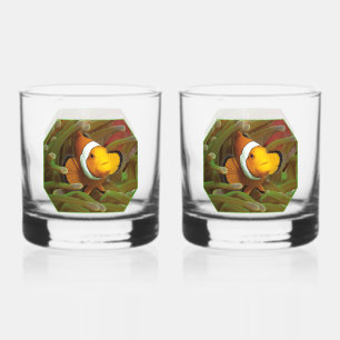 Clownfish in green anemone. Photographic Design Whiskey Glass