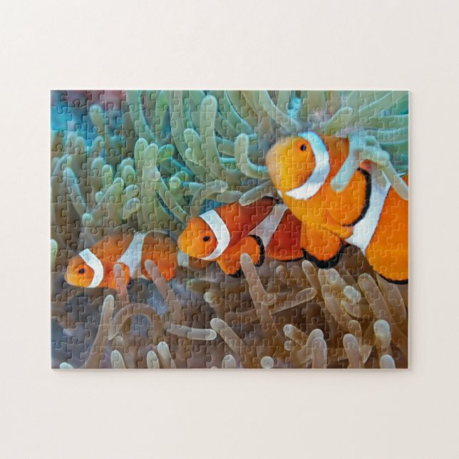 Clownfish Jigsaw Puzzle (Horizontal)