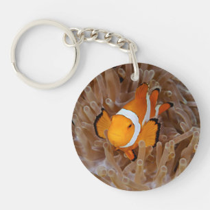 Clownfish - Molokai, North Shore Cliff Key Ring