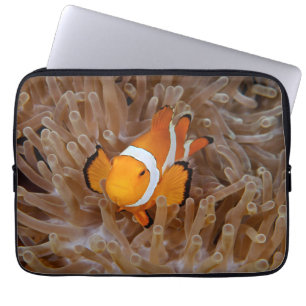 Clownfish - Molokai, North Shore Cliff Laptop Sleeve